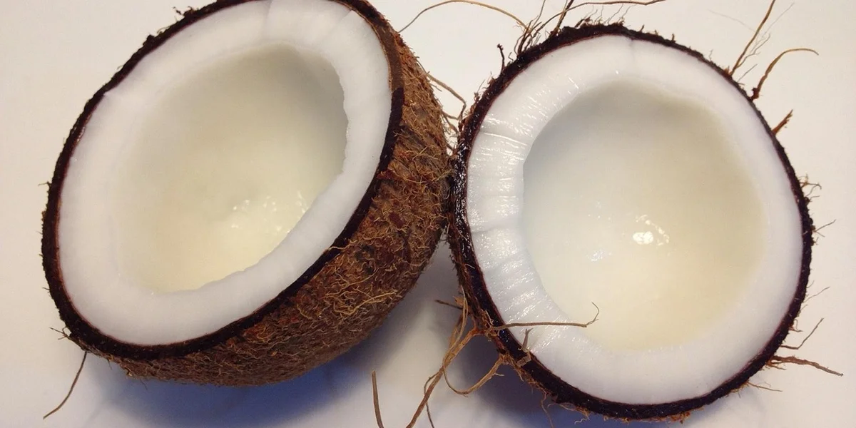 Two halved coconuts with white flesh and brown fibrous husk.