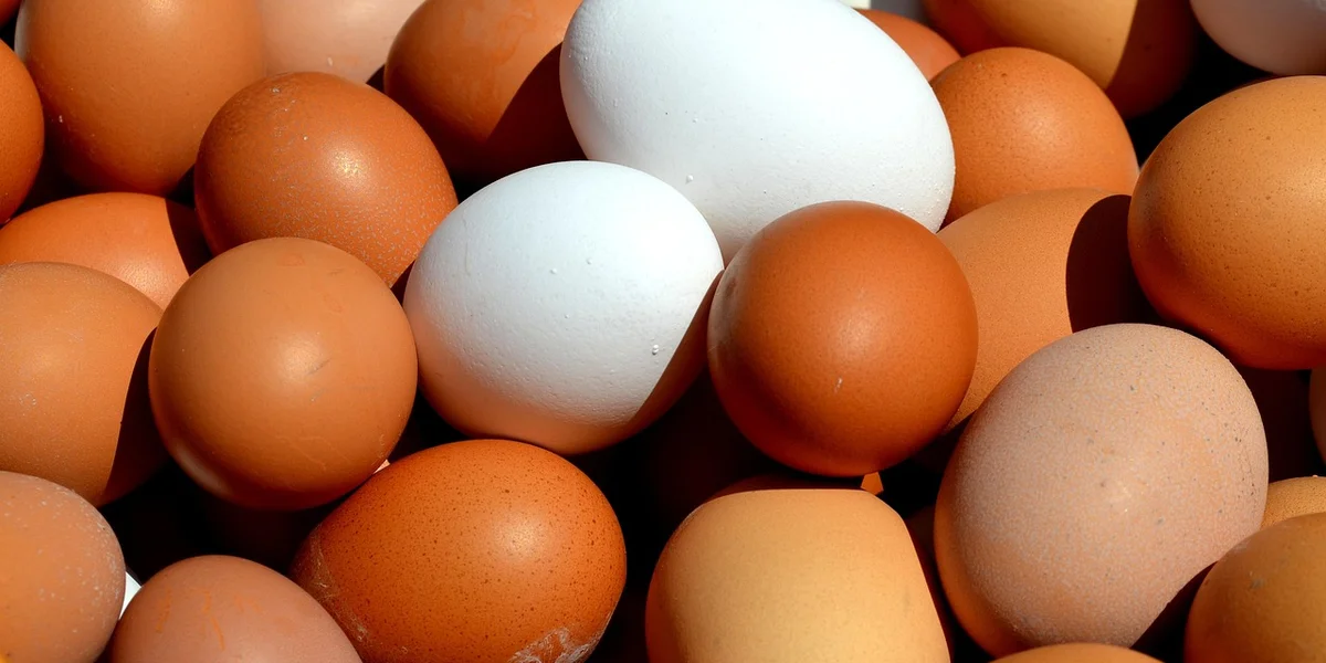 Close-up of brown and white chicken eggs in a carton.