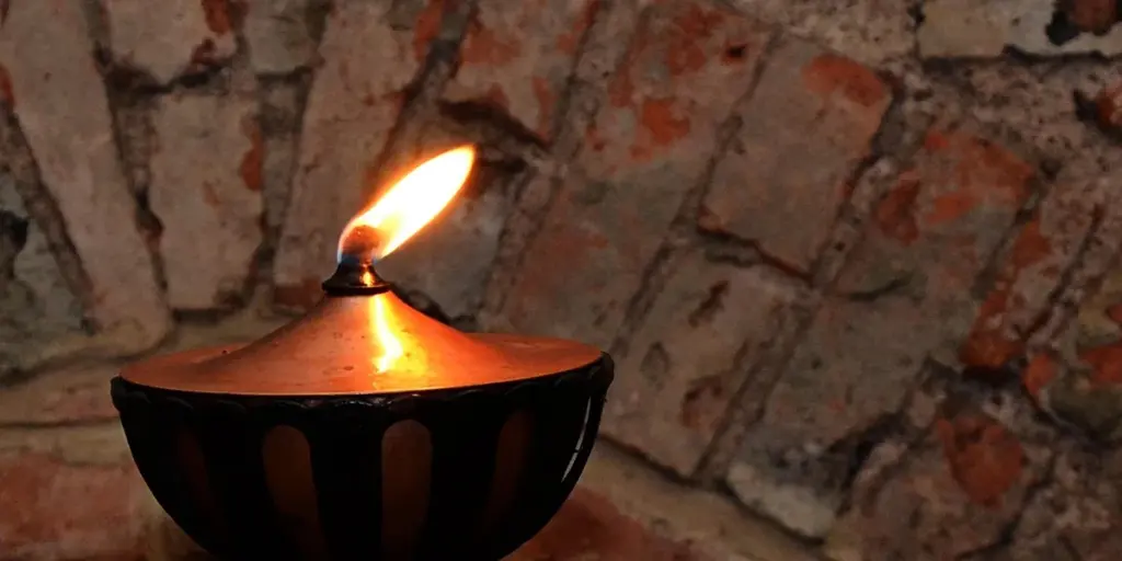 Heat Mat vs. Heat Lamp: A Safety & Efficiency Guide for Your Mantis Enclosure