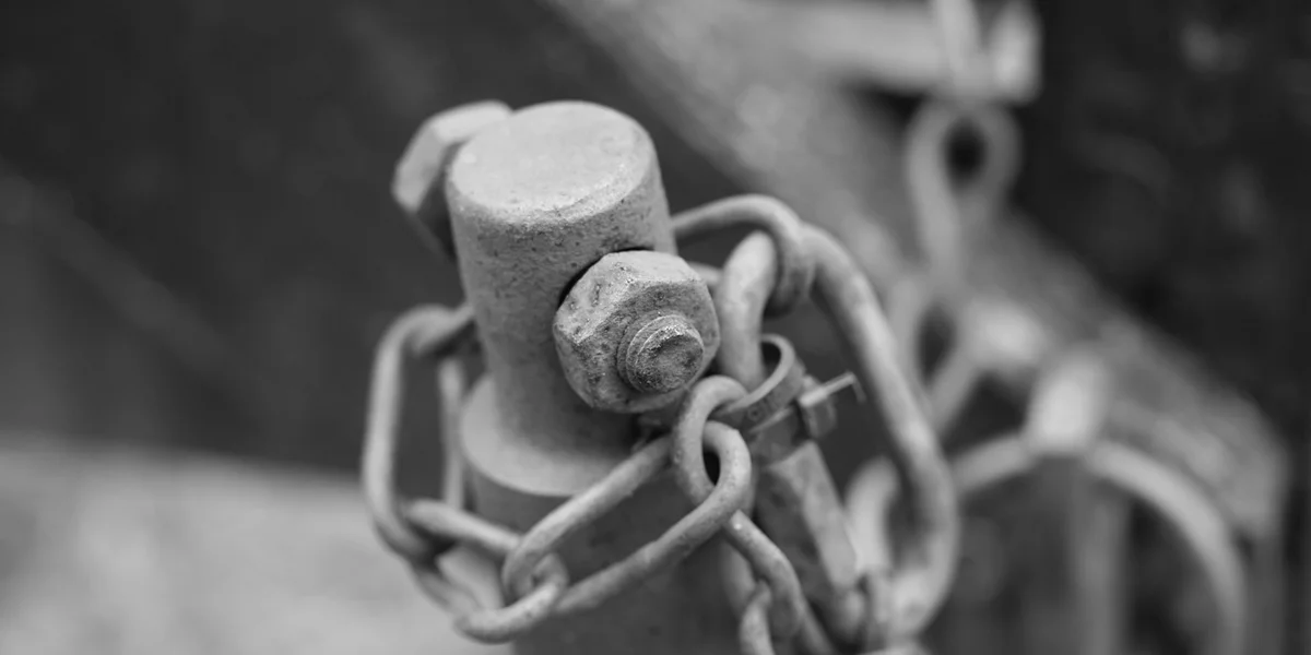 Close-up of a metal latch and chain on a praying mantis enclosure.