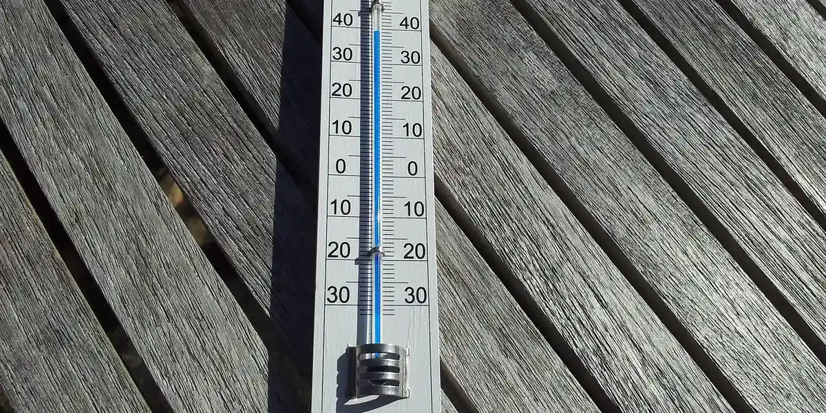 Close-up of a thermometer placed on a wooden surface, illustrating temperature monitoring for a praying mantis enclosure.